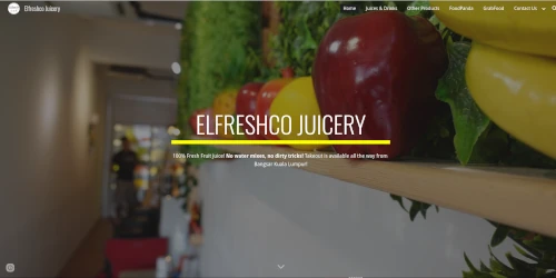 Salut Portfolio - Elfreshco